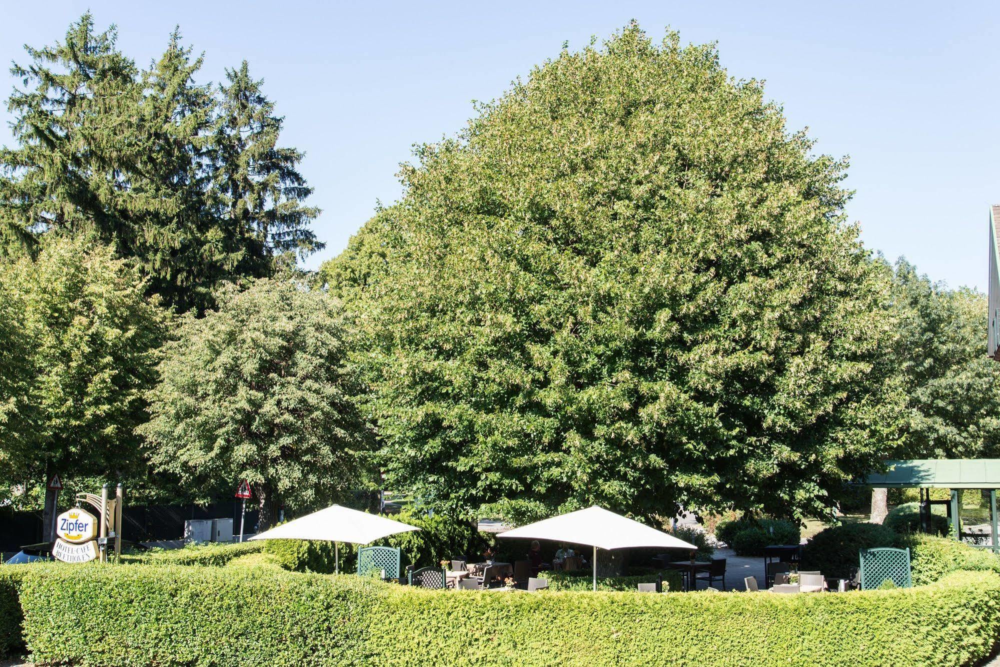 Beethoven 4* Hinterbrühl